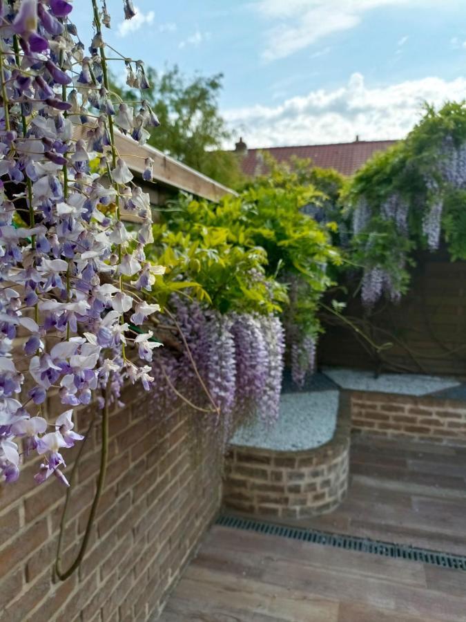 & Aa-terrasse-jardin-wifi-parking-classe 3 Etoiles Appartement *